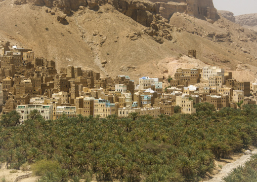 Mudbrick houses in a village, Hadhramaut, Khaila, Yemen