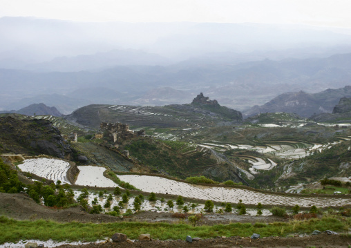 Terraces planted with cereals, Haraz Mountains, Al Hajjarah, Yemen