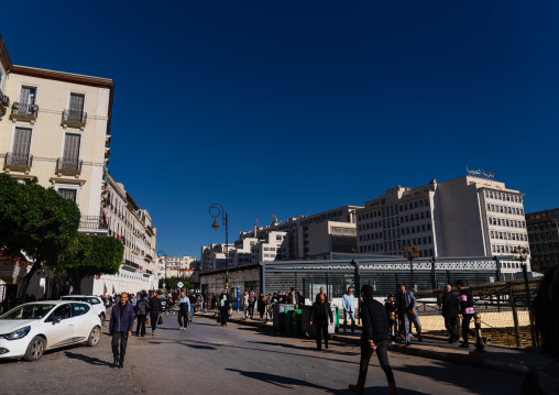 Algerian people in Martyrs Square, North Africa, Algiers, Algeria