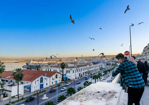 Algerian man taking pictures of seagulls near the port, North Africa, Algiers, Algeria