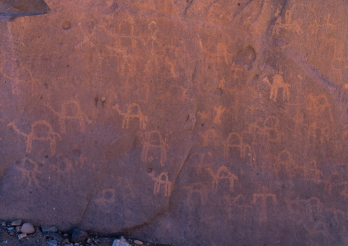 Camrls petroglyphs in Cultural park of Ahaggar, North Africa, Tagmart, Algeria