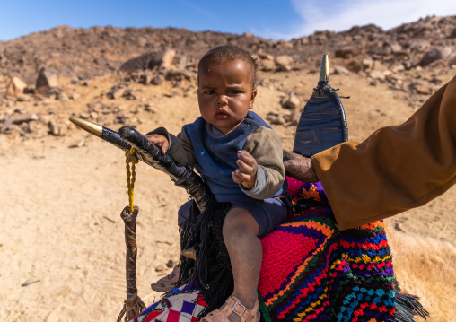 Tuareg toddler sit on a camel saddle, North Africa, Tamanrasset, Algeria