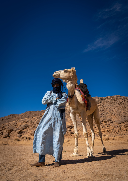 Tuareg man standing in front of his camel in the desert, North Africa, Tamanrasset, Algeria