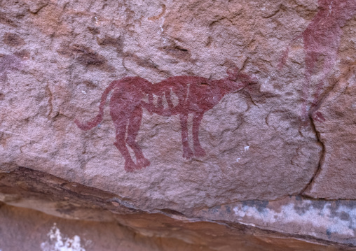 Rock painting depicting a dog, Tassili N'Ajjer National Park, Tadrart Rouge, Algeria