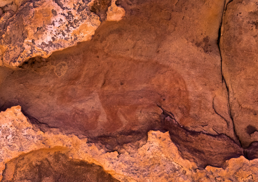 Rock painting depicting a rhinoceros, Tassili N'Ajjer National Park, Tadrart Rouge, Algeria