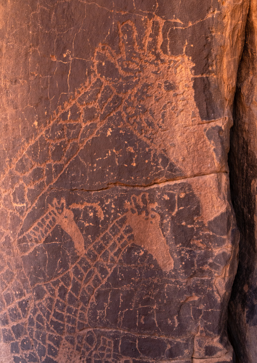 Rock carvings depicting giraffes, Tassili N'Ajjer National Park, Tadrart Rouge, Algeria
