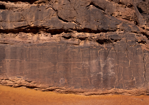 Rock carvings depicting cows, Tassili N'Ajjer National Park, Tadrart Rouge, Algeria