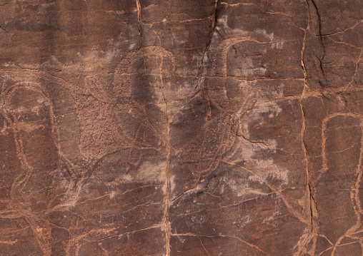 Rock carvings depicting cows, Tassili N'Ajjer National Park, Tadrart Rouge, Algeria