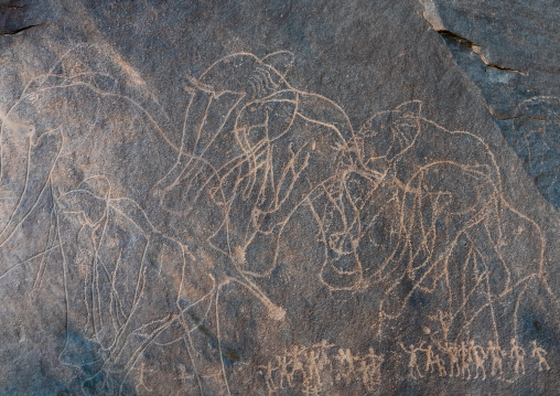 Rock carvings depicting elephants, Tassili N'Ajjer National Park, Tadrart Rouge, Algeria
