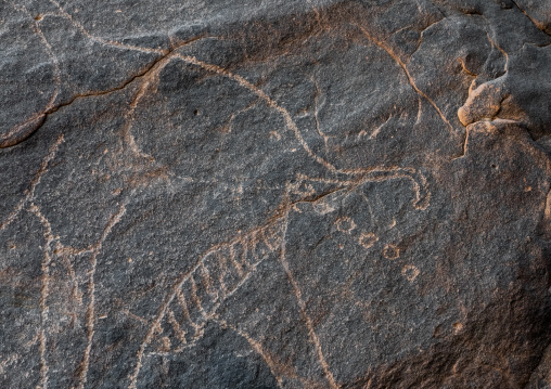 Rock carvings depicting elephant pooing, Tassili N'Ajjer National Park, Tadrart Rouge, Algeria