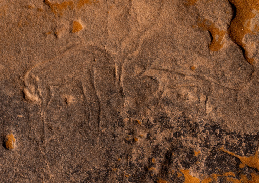 Rock carvings depicting gazelles, Tassili N'Ajjer National Park, Tadrart Rouge, Algeria