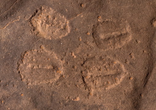 Cow Footprints in a rock, Tassili N'Ajjer National Park, Tadrart Rouge, Algeria