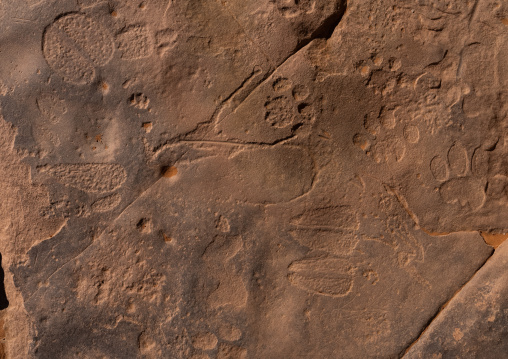 Animals Footprints in a rock, Tassili N'Ajjer National Park, Tadrart Rouge, Algeria