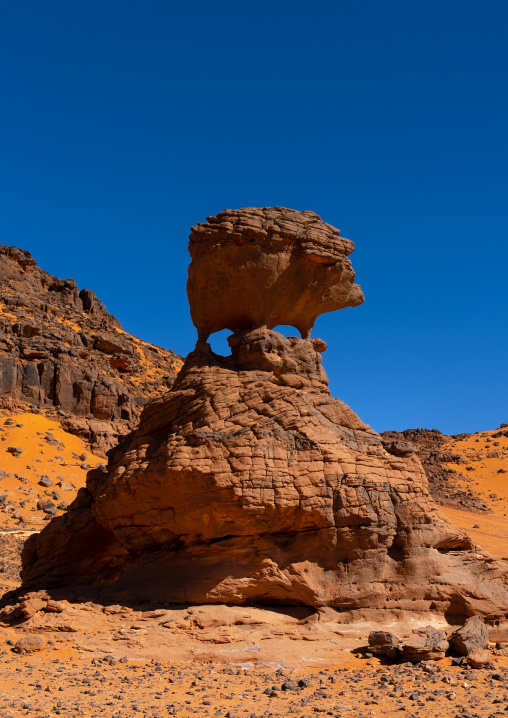 Rock formation in the desert with hedgehog shape, Tassili N'Ajjer National Park, Tadrart Rouge, Algeria