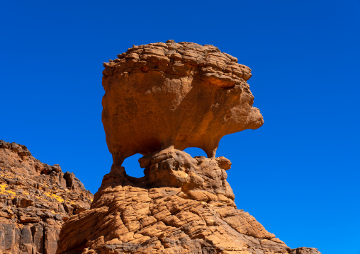 Rock formation in the desert with hedgehog shape, Tassili N'Ajjer National Park, Tadrart Rouge, Algeria