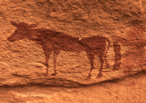 Rock painting depicting a cow, Tassili N'Ajjer National Park, Tadrart Rouge, Algeria