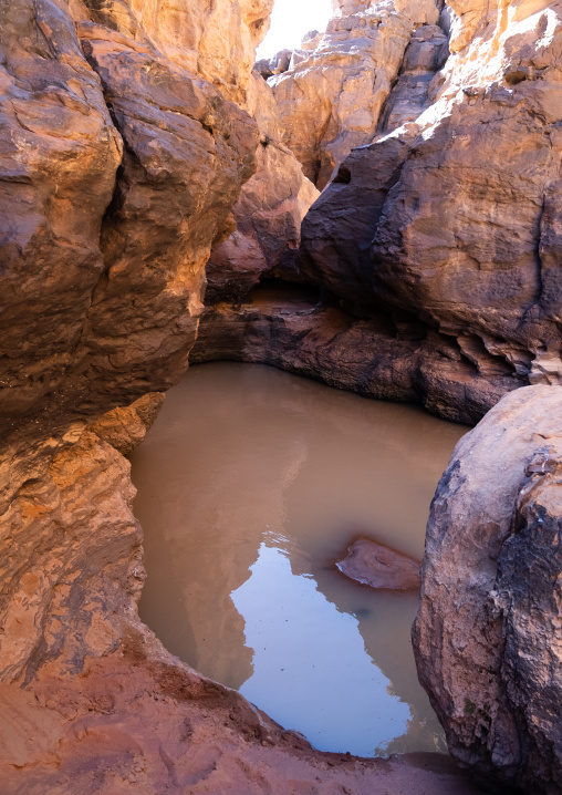 Waterhole in the desert, Tassili N'Ajjer National Park, Tadrart Rouge, Algeria