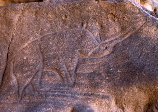 Rock carving depicting a rhinoceros, Tassili N'Ajjer National Park, Tadrart Rouge, Algeria