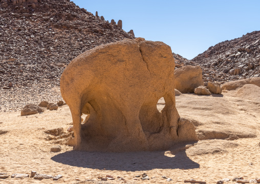 Rock formation in the desert with the sahpe of an elephant, North Africa, Erg Admer, Algeria
