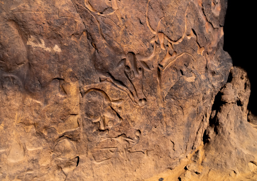 La vache qui pleure rock carving, North Africa, Erg Admer, Algeria