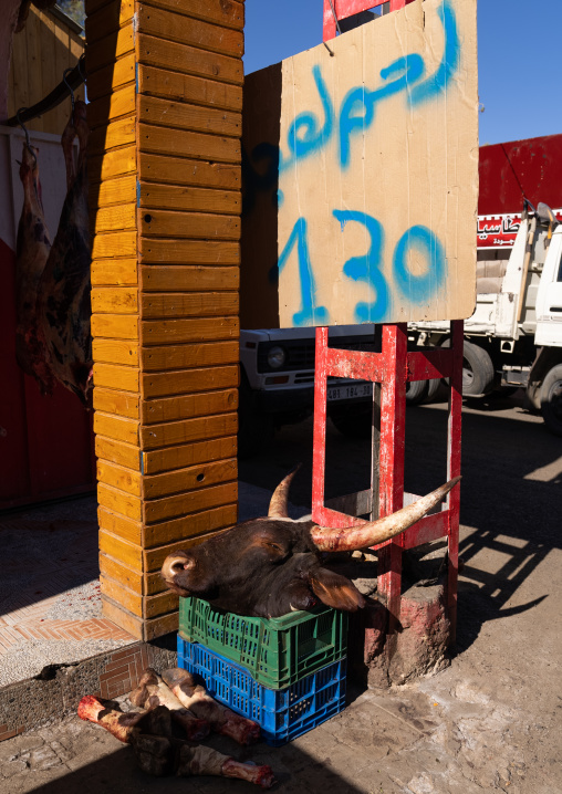 Cow head for sale in the market, North Africa, Djanet, Algeria