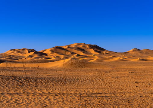 Dunes in the desert, North Africa, Metlili, Algeria