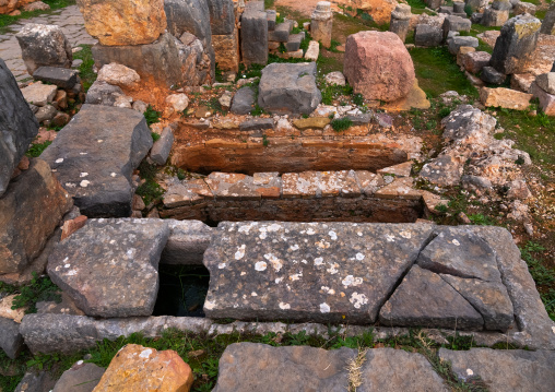 Graves in Tiddis Roman Ruins, North Africa, Bni Hamden, Algeria