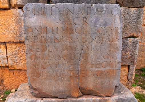 Inscriptions along Cardo Maximus in Tiddis Roman Ruins, North Africa, Bni Hamden, Algeria