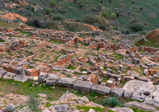 Residential neighbourhood in Tiddis Roman Ruins, North Africa, Bni Hamden, Algeria