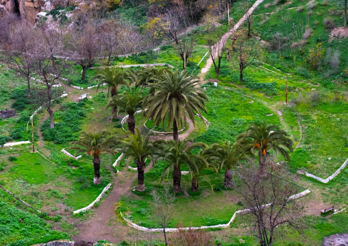 Garden with palm trees, North Africa, Constantine, Algeria