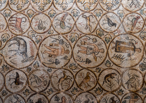 Asinus Nica mosaic from the ancient Roman city, North Africa, Djemila, Algeria