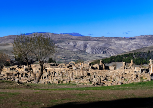 The Roman ruins of Djemila, North Africa, Djemila, Algeria