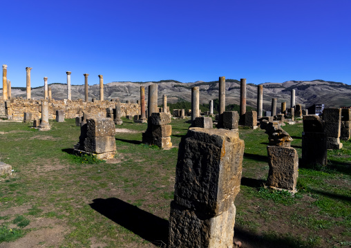 Basilica in the Roman ruins of Djemila, North Africa, Djemila, Algeria