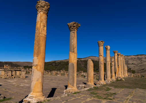 Old Forum in the Roman ruins of Djemila, North Africa, Djemila, Algeria