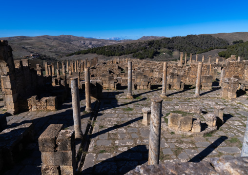 Roman ruins of Djemila, North Africa, Djemila, Algeria