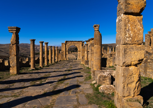 Cardo in the Roman ruins of Djemila, North Africa, Djemila, Algeria