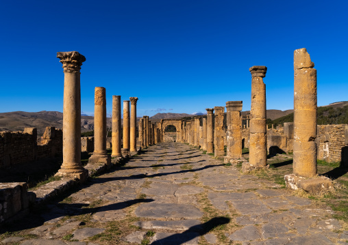Cardo in the Roman ruins of Djemila, North Africa, Djemila, Algeria