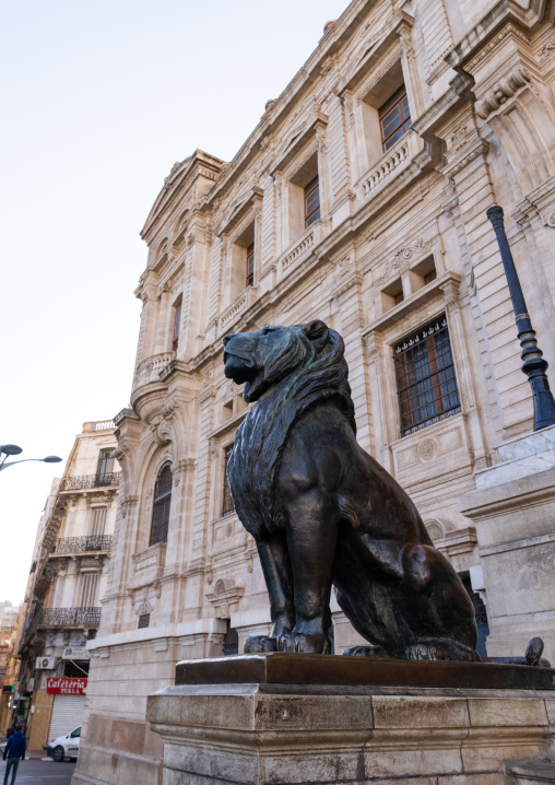 Lion statue in front of City Hall, North Africa, Oran, Algeria