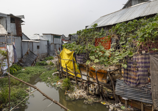 Korail slum garbages, Dhaka Division, Dhaka, Bangladesh