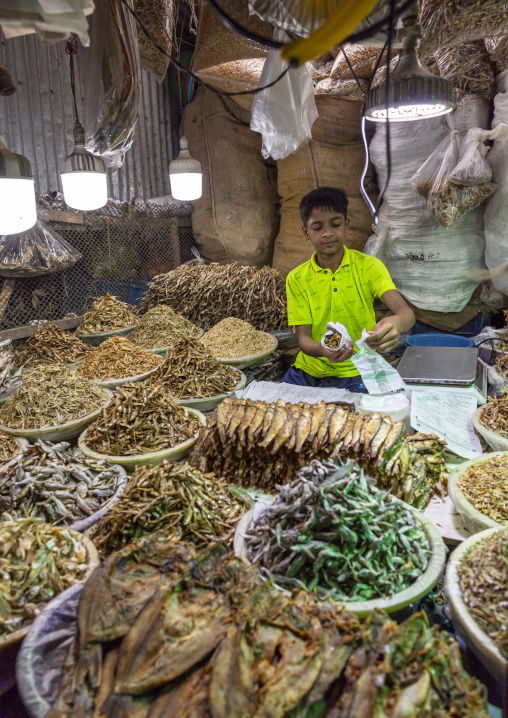 Bangladeshi boy selling dried fishes at market, Dhaka Division, Dhaka, Bangladesh