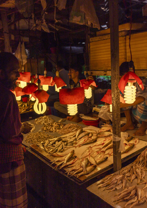 Lamps over fresh fishes in fish market, Dhaka Division, Dhaka, Bangladesh