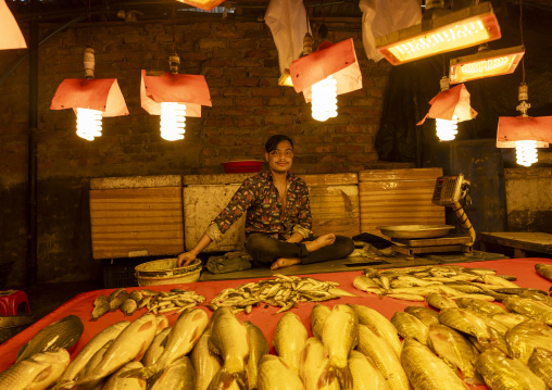 Lamps over fresh fishes in fish market, Dhaka Division, Dhaka, Bangladesh