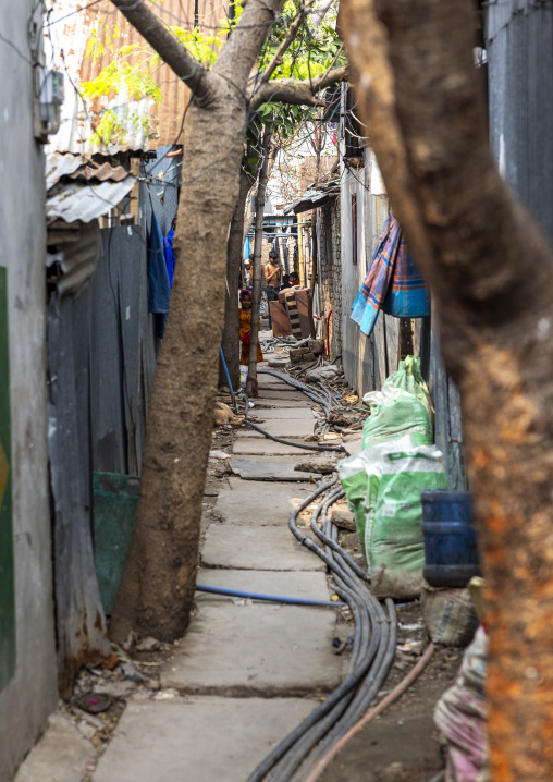 Water pipes in the backstreet of a slum, Dhaka Division, Dhaka, Bangladesh