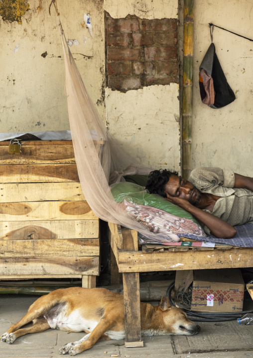 Bangladeshi man and dog sleeping in a shop, Dhaka Division, Dhaka, Bangladesh