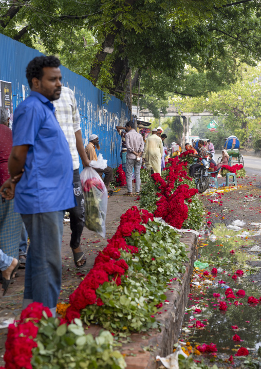 Bangladeshi man selling red roses at flower market, Dhaka Division, Dhaka, Bangladesh