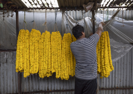 Bangladeshi man selling yellow garlands at flower market, Dhaka Division, Dhaka, Bangladesh