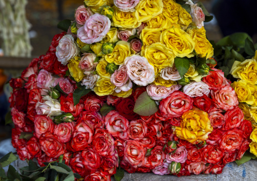 Roses for sale at flower market, Dhaka Division, Dhaka, Bangladesh