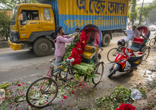 Bangladeshi man loading red roses on a rickshaw at market, Dhaka Division, Dhaka, Bangladesh