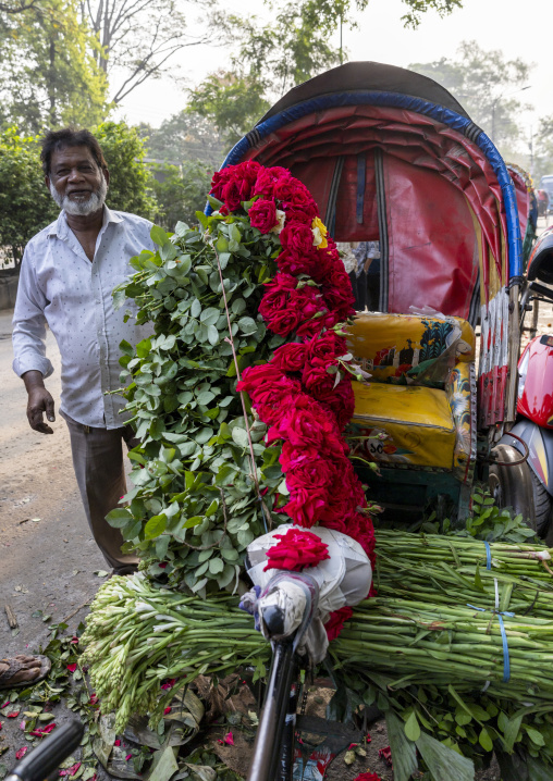 Bangladeshi man loading red roses on a rickshaw at market, Dhaka Division, Dhaka, Bangladesh