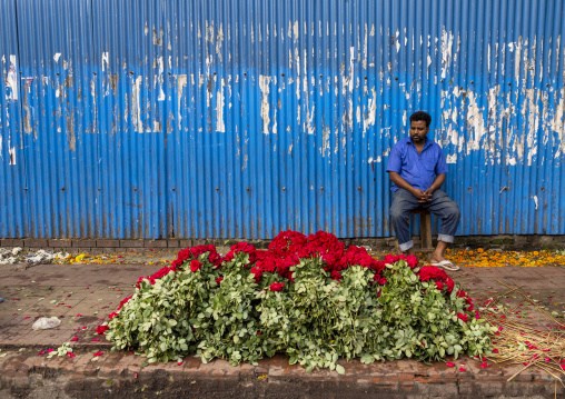 Bangladeshi man selling red roses at flower market, Dhaka Division, Dhaka, Bangladesh